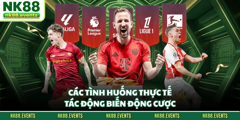 Các tình huống thực tế tác động biến động cược