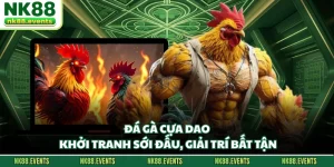 Đá Gà Cựa Dao - Khởi Tranh Sới Đấu, Giải Trí Bất Tận