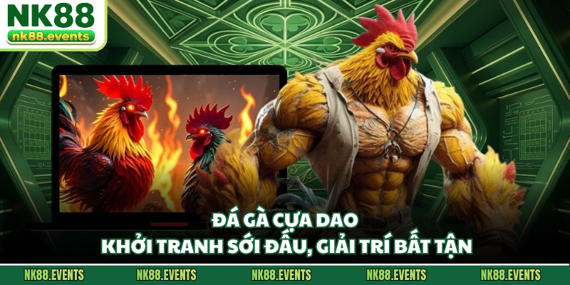 Đá Gà Cựa Dao - Khởi Tranh Sới Đấu, Giải Trí Bất Tận