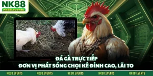 Đá Gà Trực Tiếp - Đơn Vị Phát Sóng Chọi Kê Đỉnh Cao, Lãi To