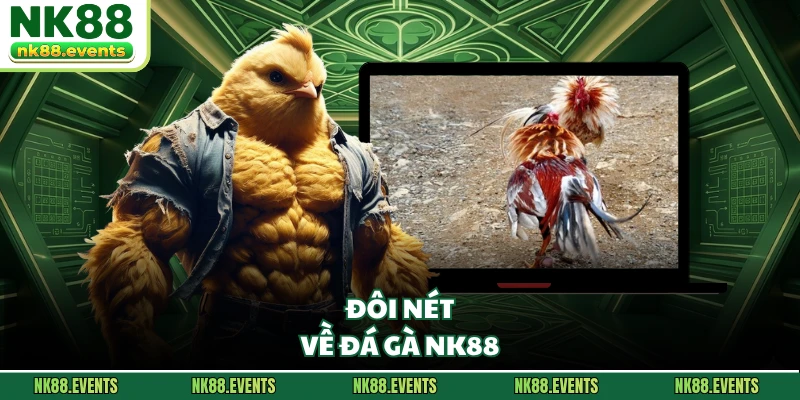 Đôi nét về đá gà NK88