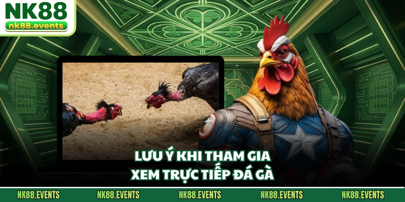 Lưu ý khi tham gia xem trực tiếp đá gà