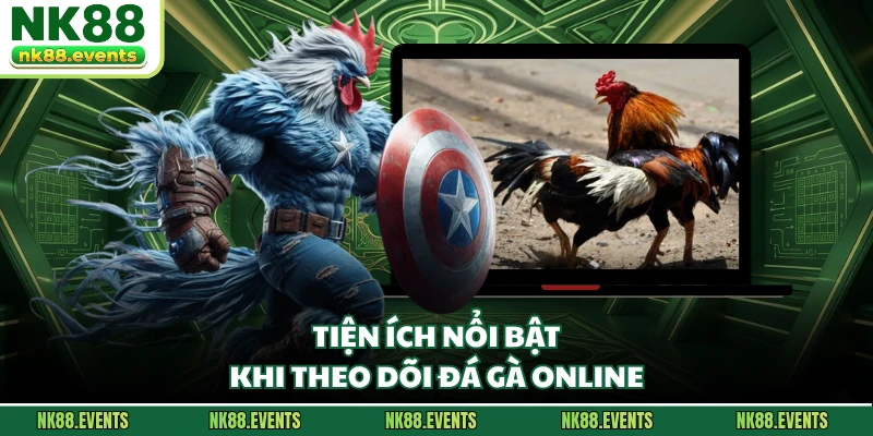 Tiện ích nổi bật khi theo dõi đá gà online