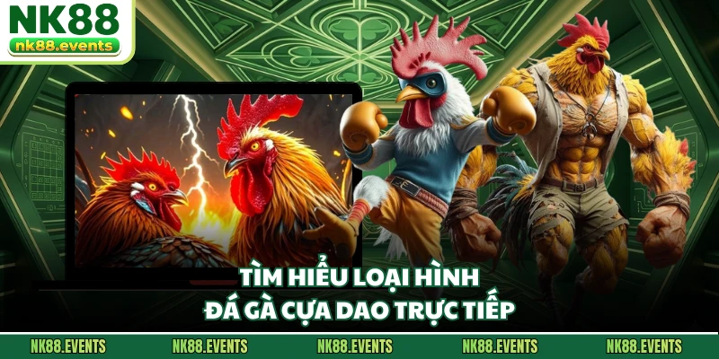 Tìm hiểu loại hình đá gà cựa dao trực tiếp