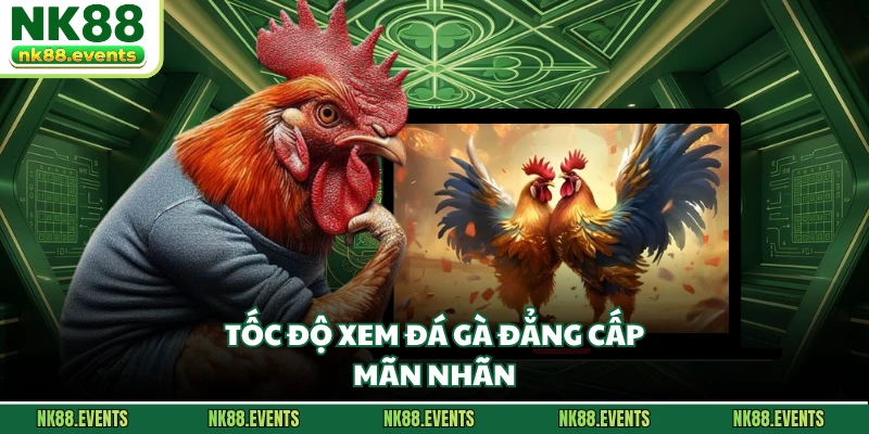 Tốc độ xem đá gà đẳng cấp, mãn nhãn