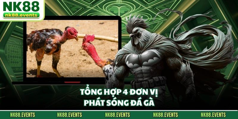 Tổng hợp 4 đơn vị phát sóng đá gà